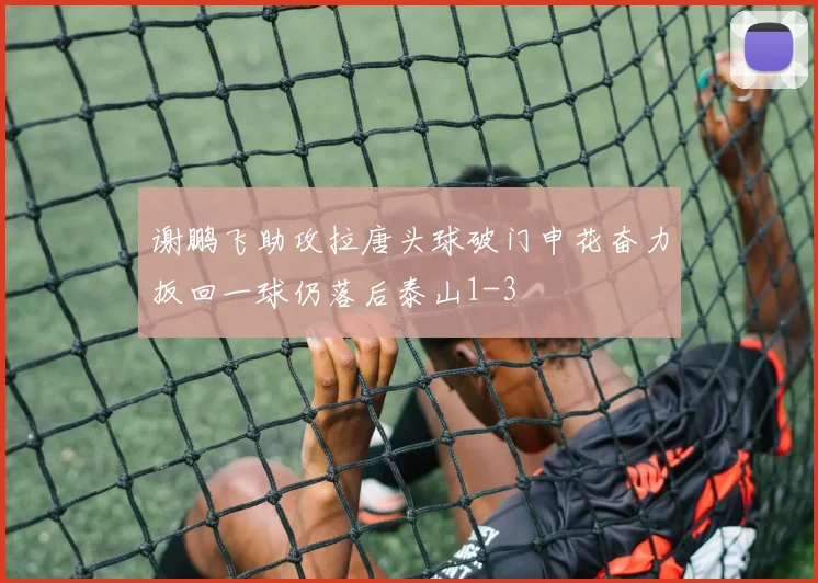 谢鹏飞助攻拉唐头球破门申花奋力扳回一球仍落后泰山1-3