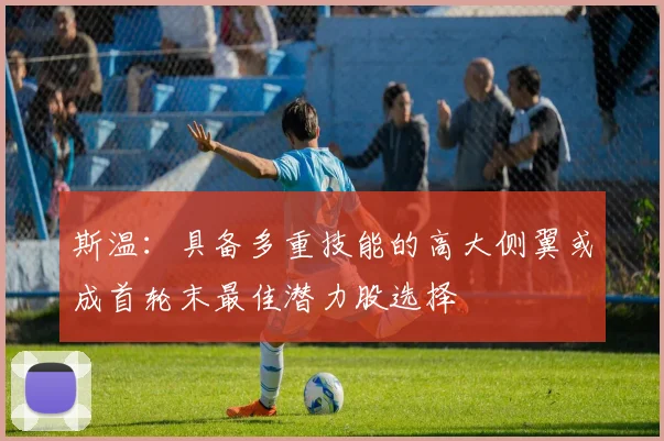 斯温：具备多重技能的高大侧翼或成首轮末最佳潜力股选择