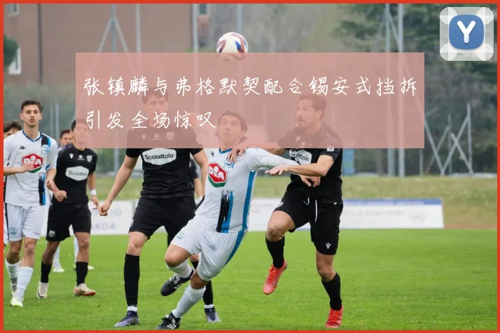 张镇麟与弗格默契配合锡安式挡拆引发全场惊叹